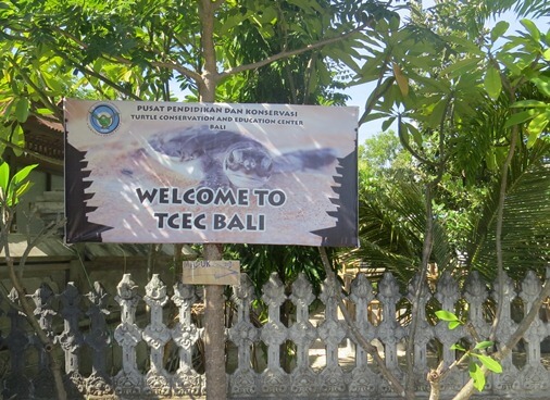 TCEC Bali - Serangan Island Turtle Conservation Centre 