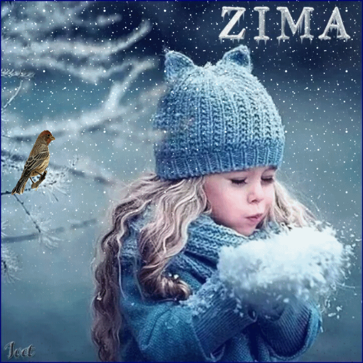 zima.gif