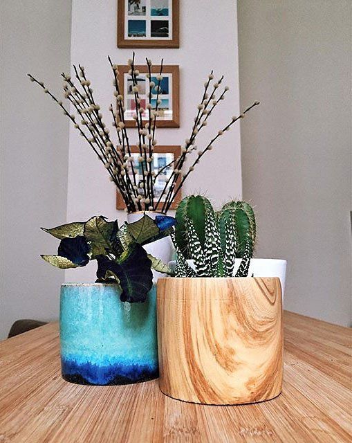 Pon un CACTUS en tu vida