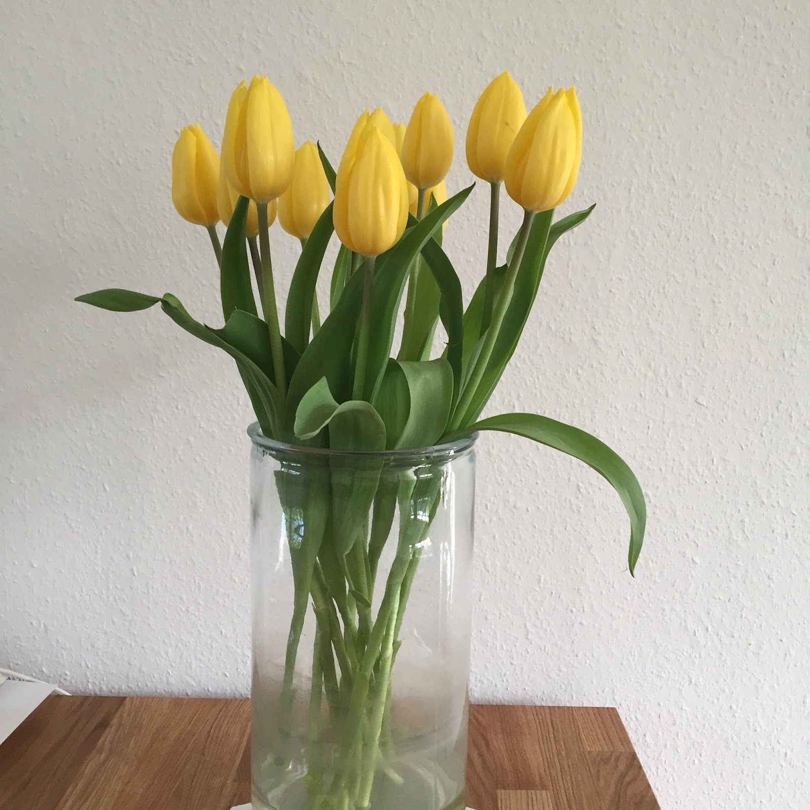 Personal archieven pagina 8 van 17 diolifestyle