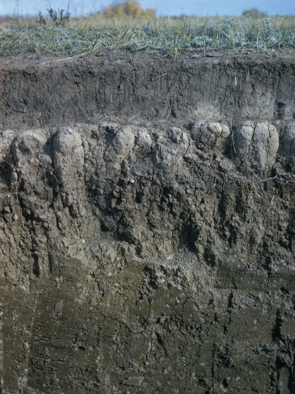 The Science of Dirt What constitutes desirable soil structure?