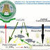 Biofloc technology expected to boost aquaculture in Tamil Nadu, (India)