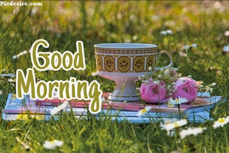 Best 20 Good Morning Images | Good Morning Images for Whatsapp Best 20 Good Morning Images | Good Morning Images for Whatsapp