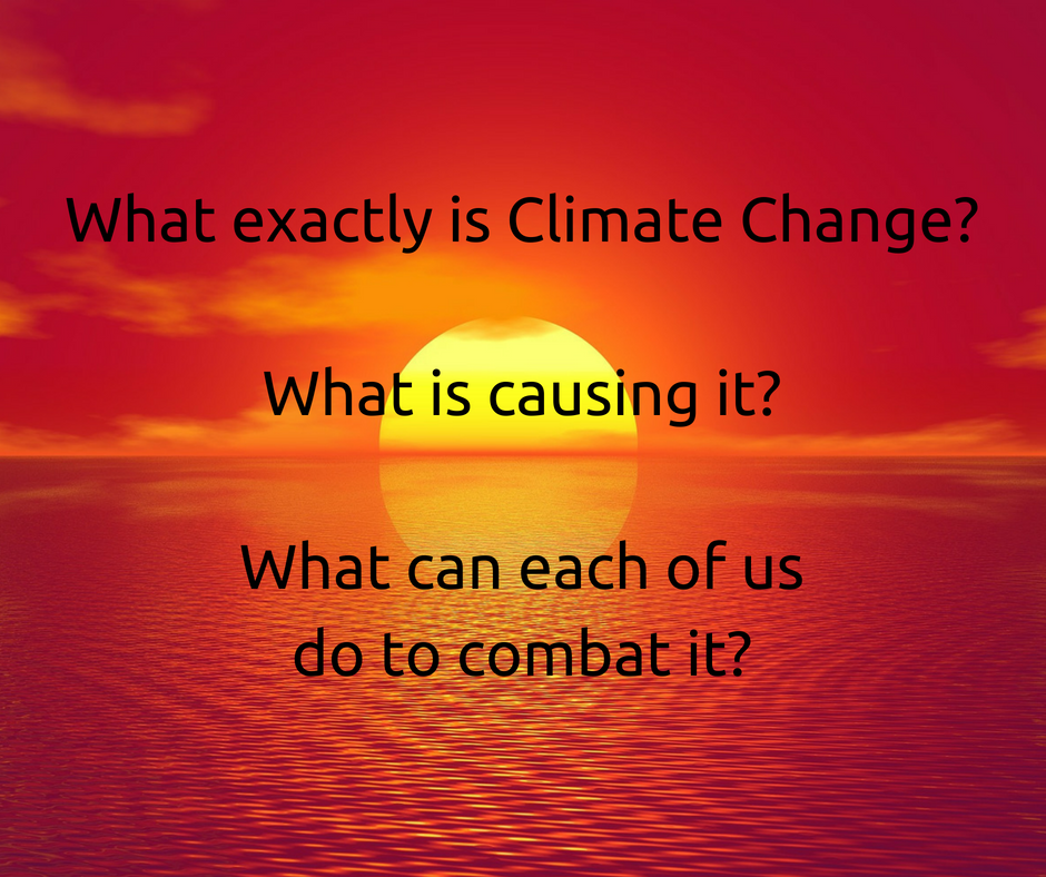 A green and rosie life what exactly is climate change 