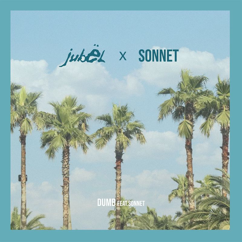 Jubel – Dumb (feat. Sonnet) (Remix) – Single