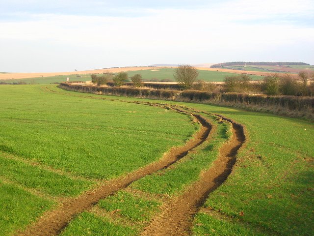 French Vocabulary Illustrated: ornière