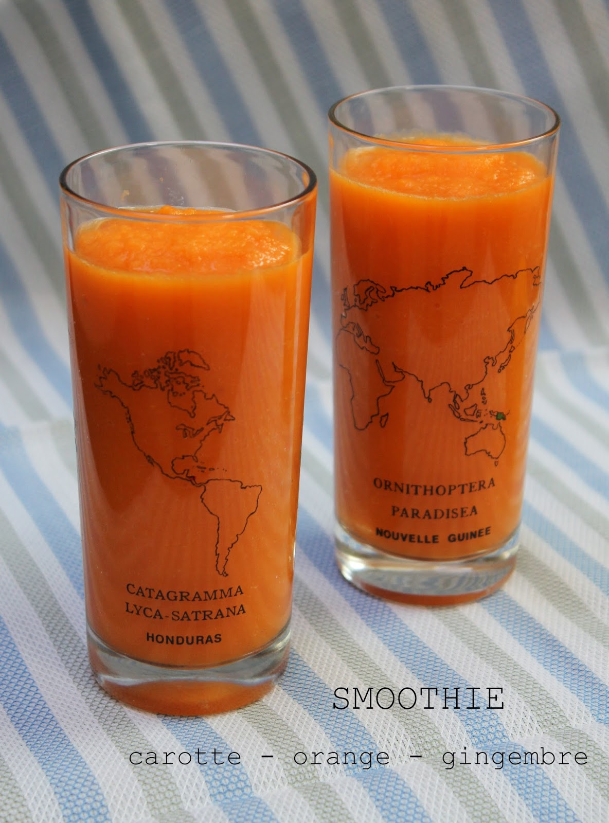 Diana's Cook Blog Smoothie carotteorangegingembre