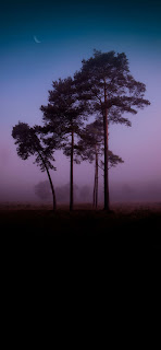 خلفيات ايفون تنزيل 44+ خلفية عالية الجودة لشاشات الايفون