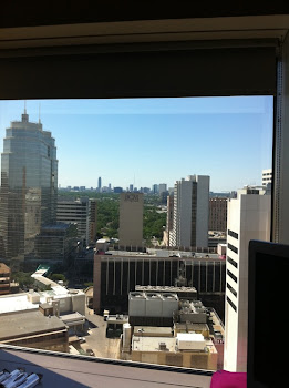 View from Joe's MDACC room