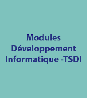 Modules Developpement Informatique Tsdi Cours Ofppt