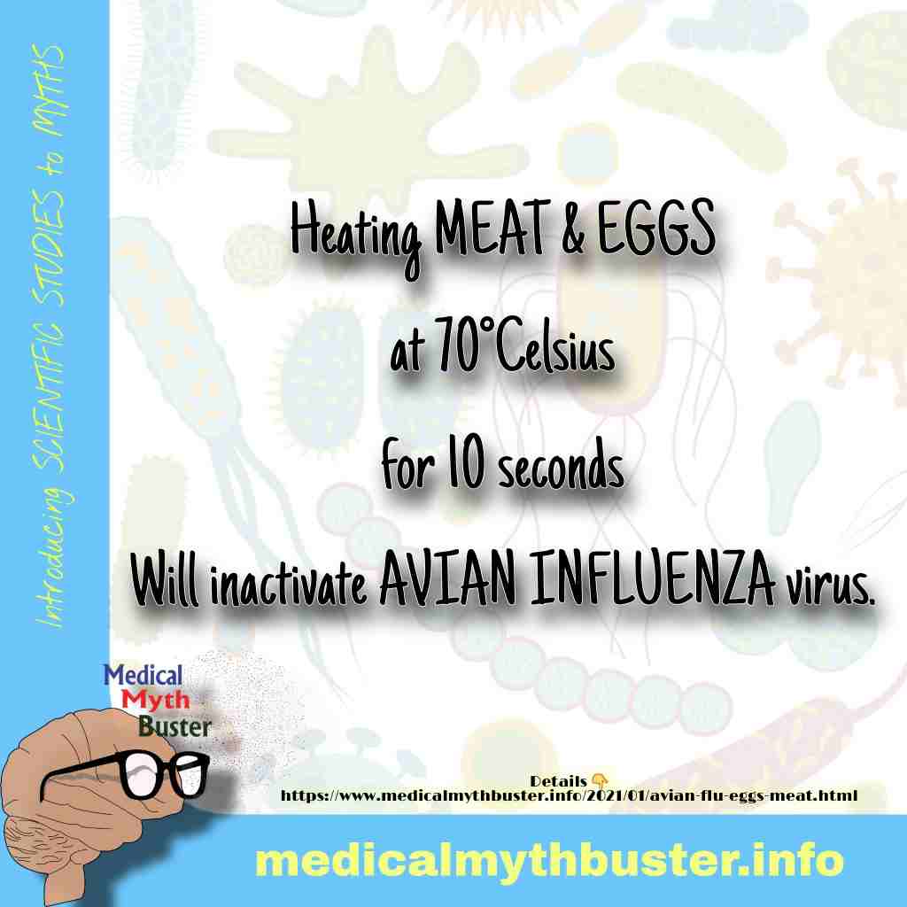 AVIAN INFLUENZA should you stop eating EGGS and MEAT? Who is at risk