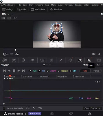 Software Untuk Memberi Efek Blur Pada Wajah di Video-1