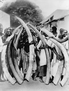 1900'lü yıllarda Tanzanya'da Darüsselam'da fildişleri avcıları.