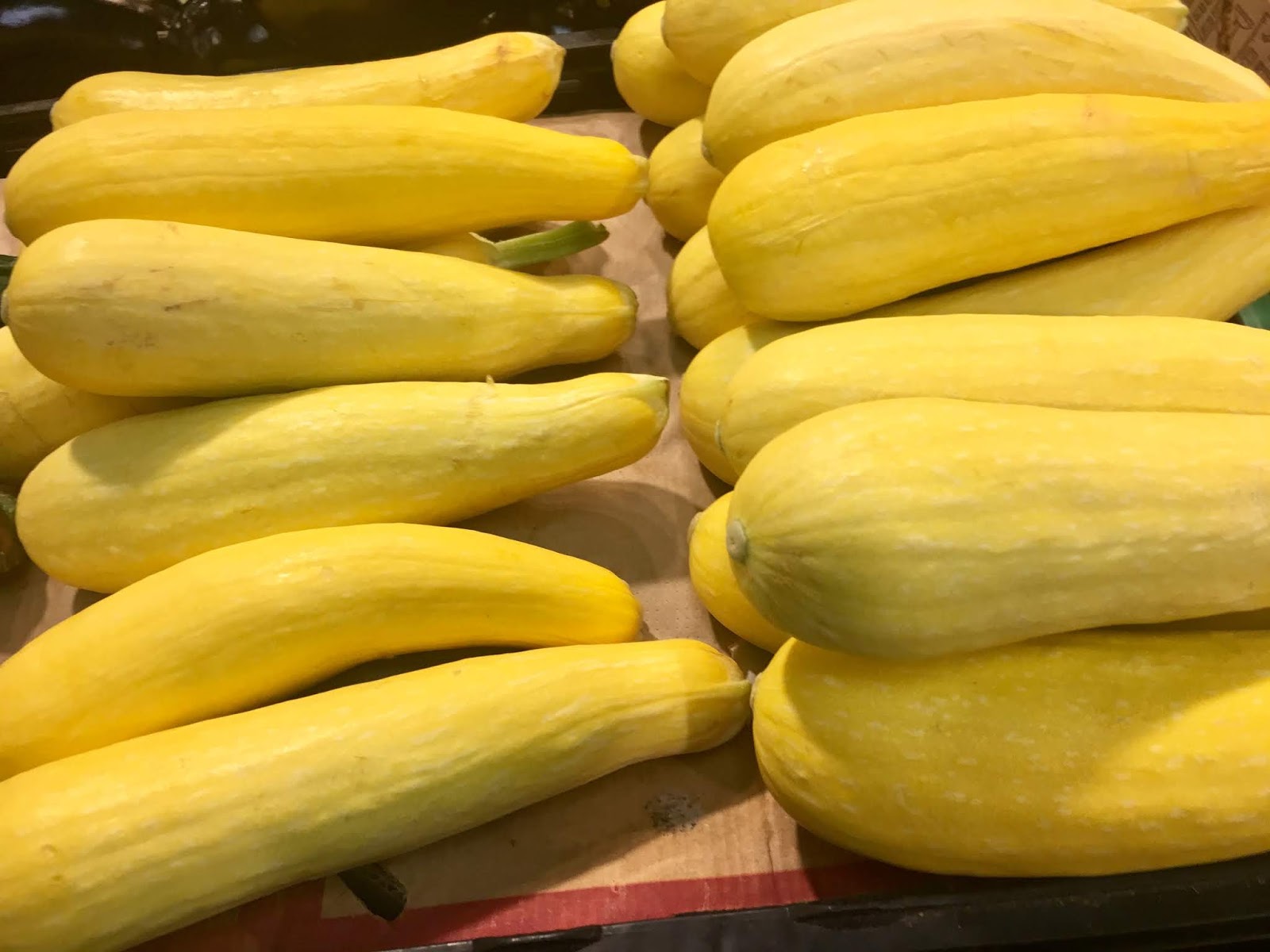 ONE TO GROW ON Summer Squash