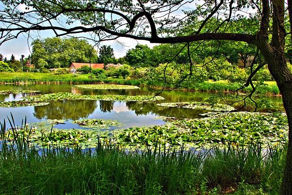 10 Inspirational Botanic Gardens | Botanischer Garten und Botanisches Museum, Germany