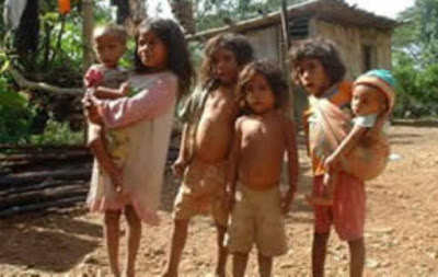 Ejijensia Vida, Halo Labarik Balu Buka Moris Dalan Ninin