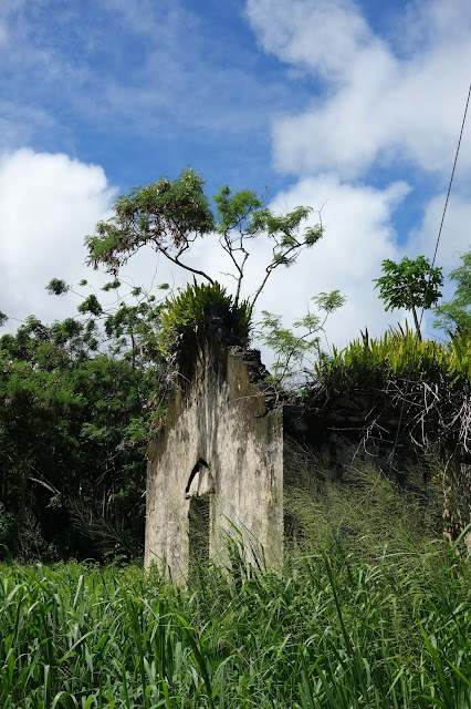 ruins isle of pines 