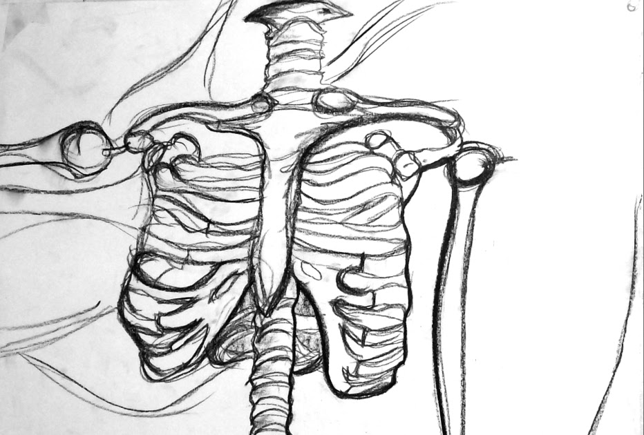 Human Skeleton Drawing Easy Learn How To Draw A Skeleton Everyday human-skeleton-drawing-easy-learn-how-to-draw-a-skeleton-everyday