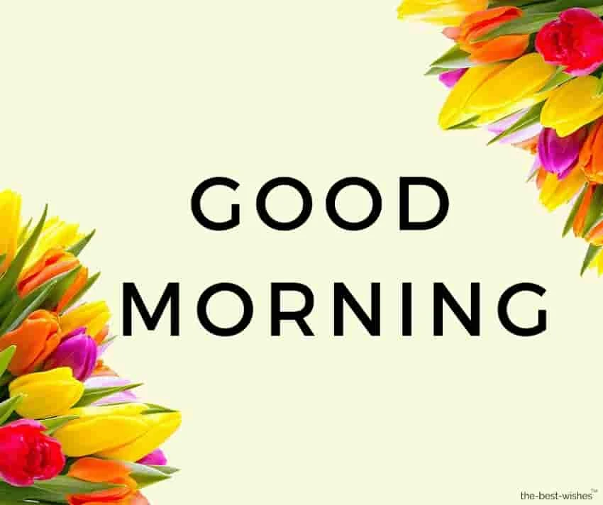 good morning greeting card