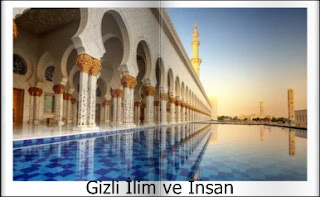 Sahmeran Kahve Fali App For Iphone Free Download Sahmeran Kahve Fali For Iphone At Apppure