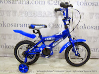 Sepeda Anak Family RM2 12 Inci