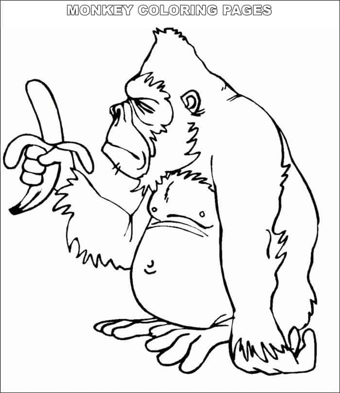 Funny Monkey Coloring Pages - Wirawan