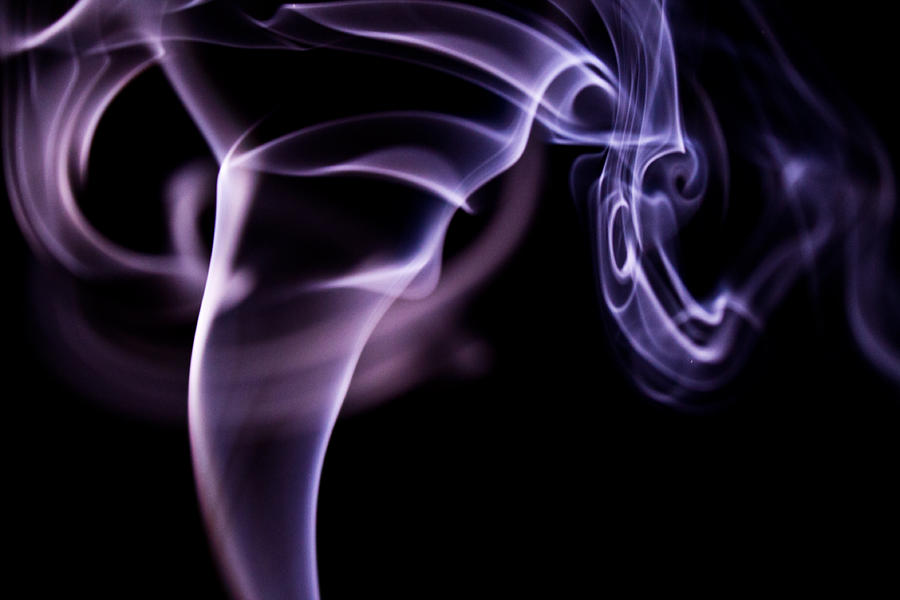 Impractical Aesthetic: Fish Brings Apocalpyse