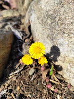 Сочинение про родник 3 класс окружающий мир IMG 20210413 153856