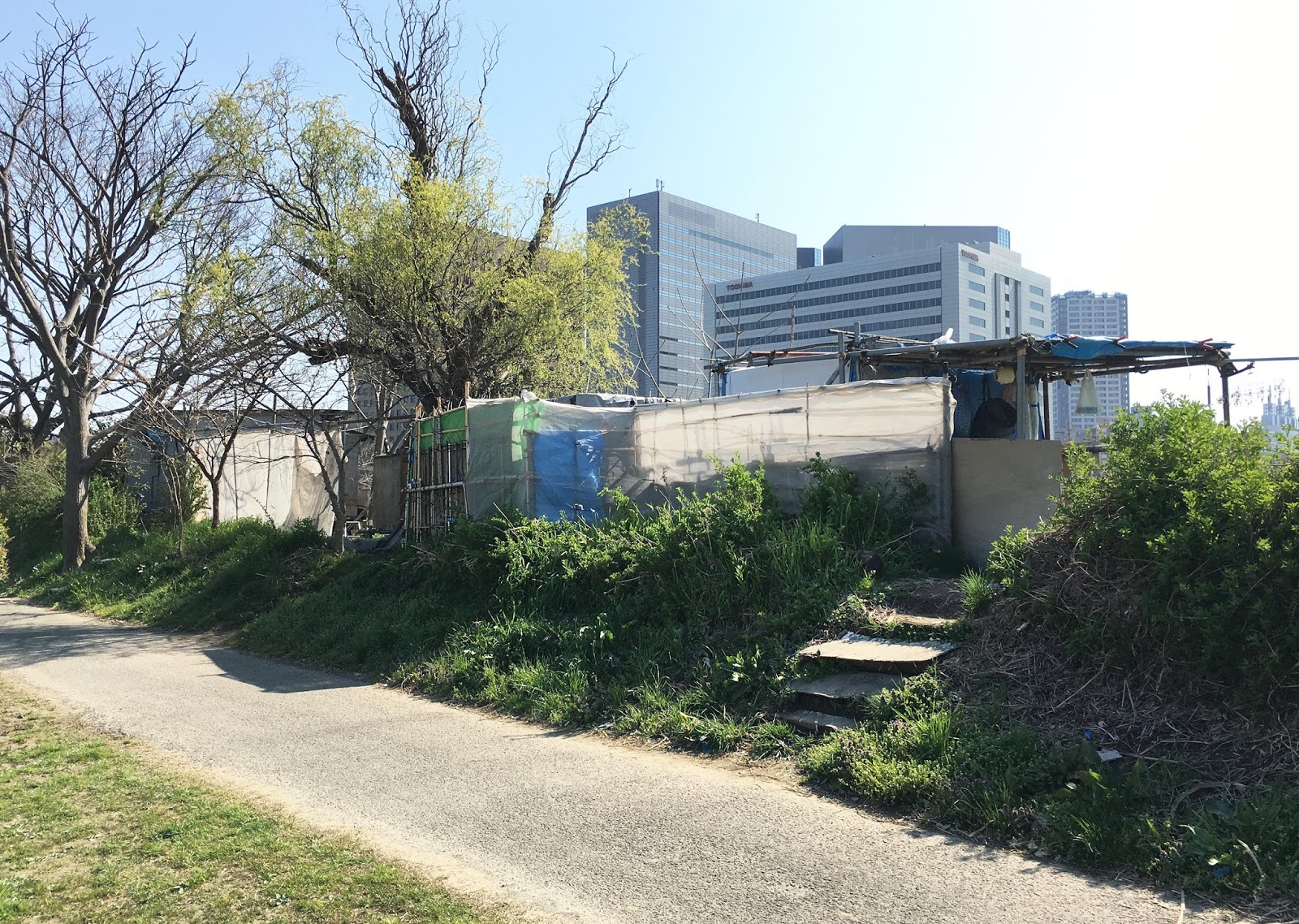 東京にあるホームレスの集落 人々が集う多摩川の河川敷にあるのわ C ミライノシテン