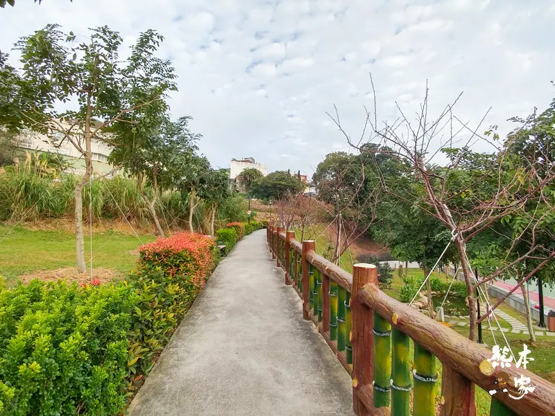 鶯歌永吉公園IG網美景點|炮仗花、櫻花齊登場還有3D立體彩繪步道