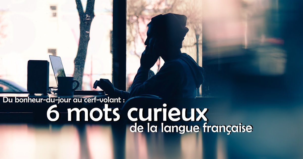 les mots curieux de la langue francaise du bonheur du jour au cerf volant le francais entre quat z yeux