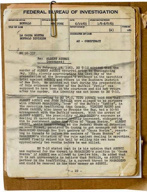 Witness protection research paper picture