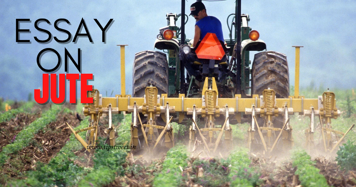 Bangladesh jute research institute picture