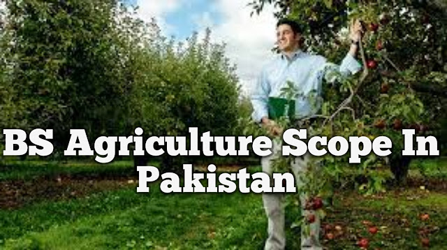 BS Agriculture Scope In Pakistan BS Agriculture Scope In Pakistan