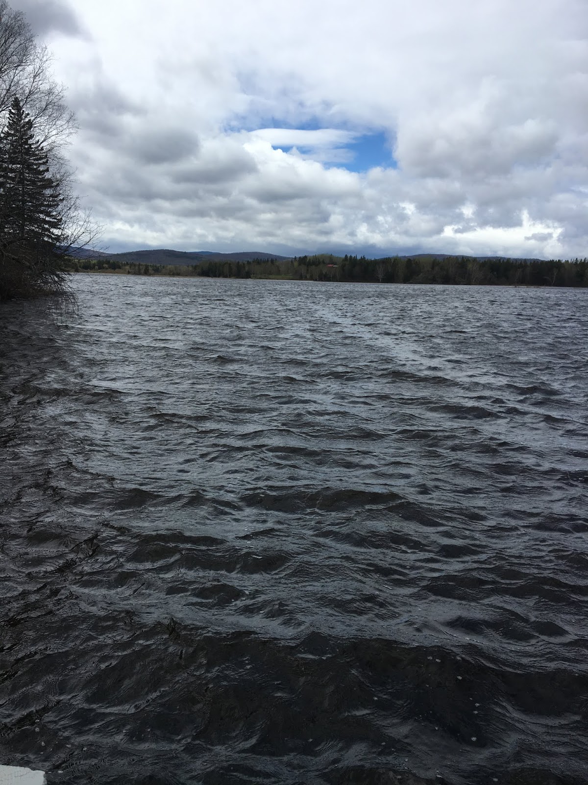 kdaanennfct 06/01/2019 07/01/2019