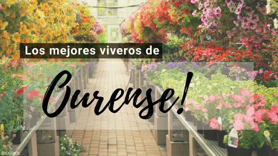 comprar plantas online en Ourense