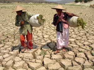 Dampak Pemanasan Global Terhadap Kesehatan Bayar Zakat Online