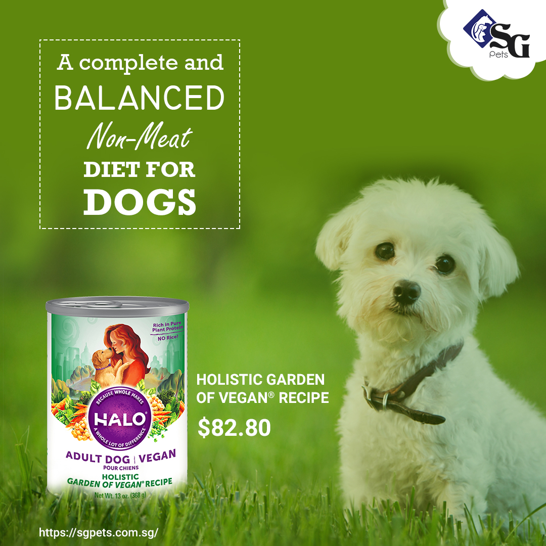 Pet Food Singapore SG Pets The Finest Store For Quality Pet Supplies