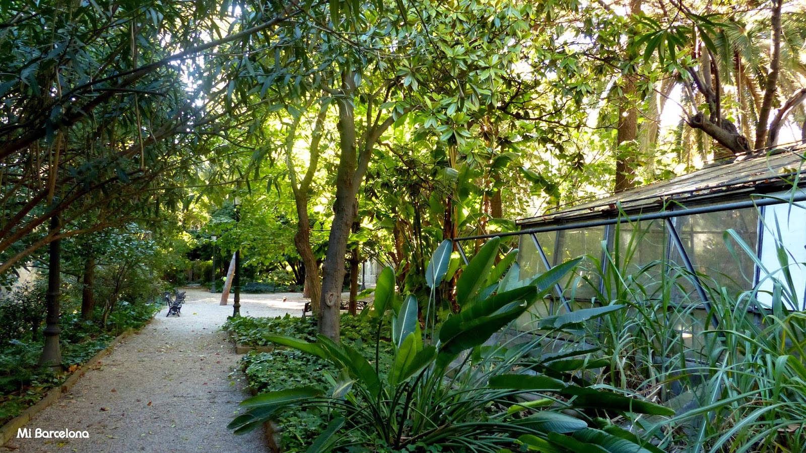 Mi Barcelona Edificio Histórico de la Universidad de Barcelona