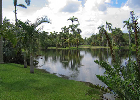 The lowlands (Fairchild Botanic Garden--  the best tropical botanic garden in the world)