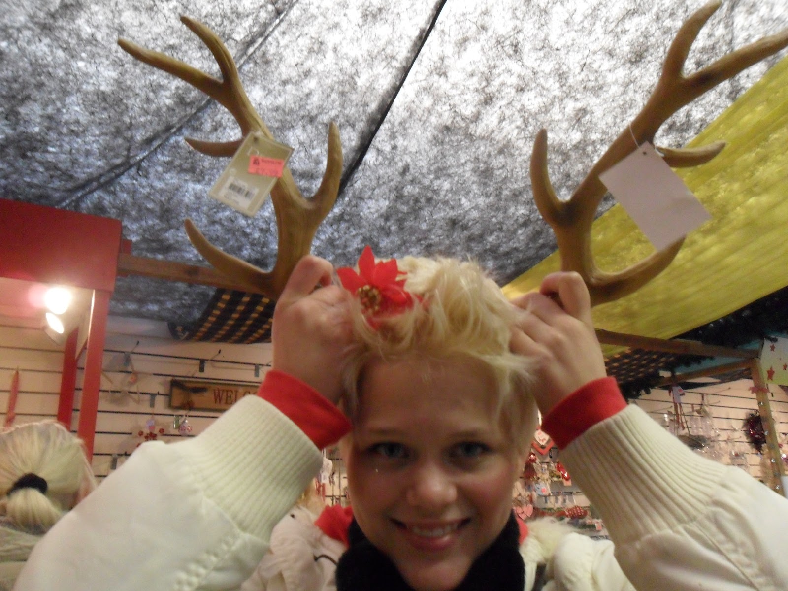 The Woollen Mitten: December 2011