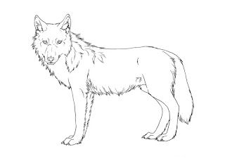 Desenhos de lobo para colorir