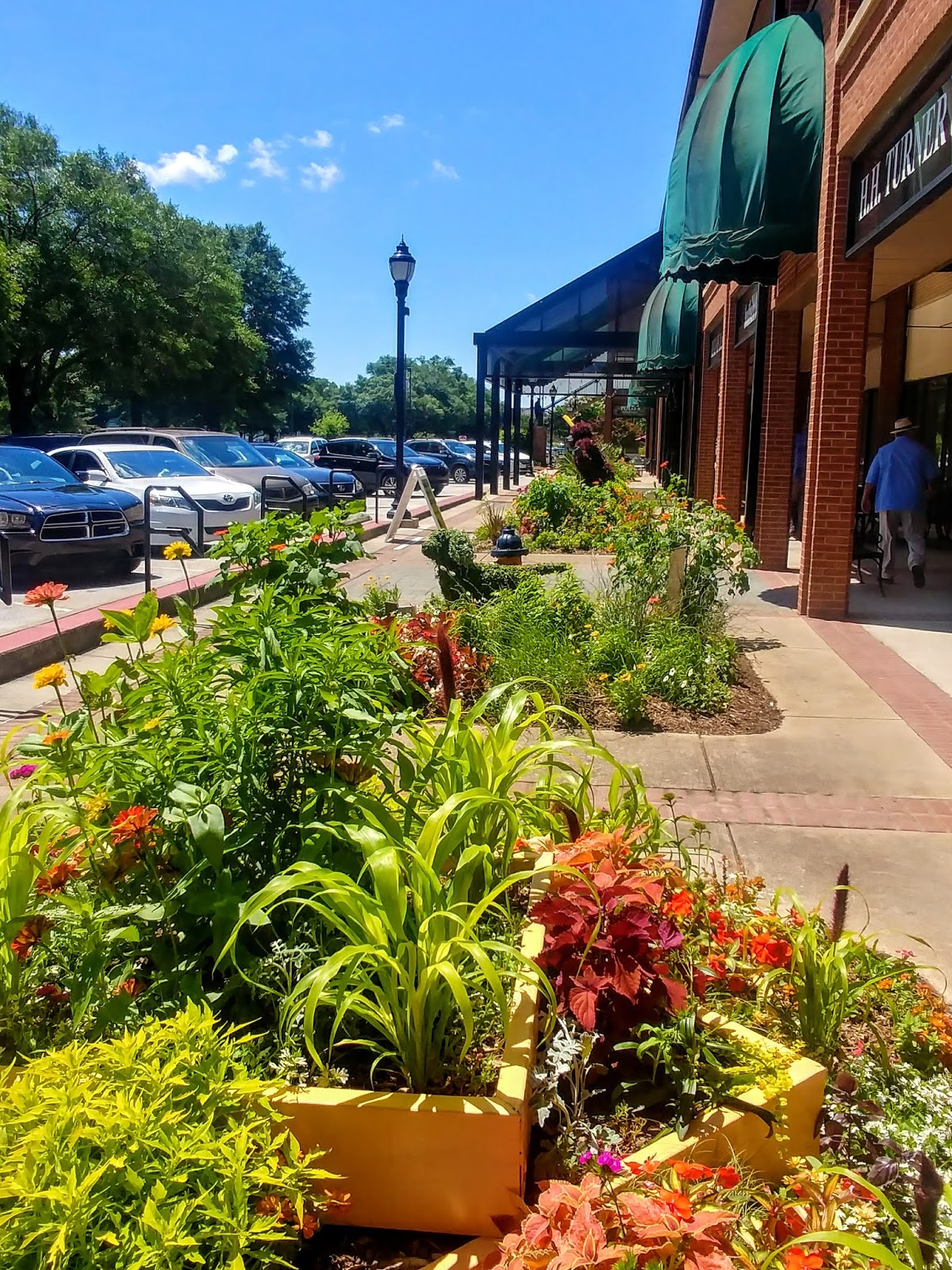 Another Mile Another Destination Blog Festival of Flowers in Greenwood, SC