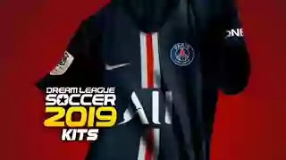 dls 19 psg kit
