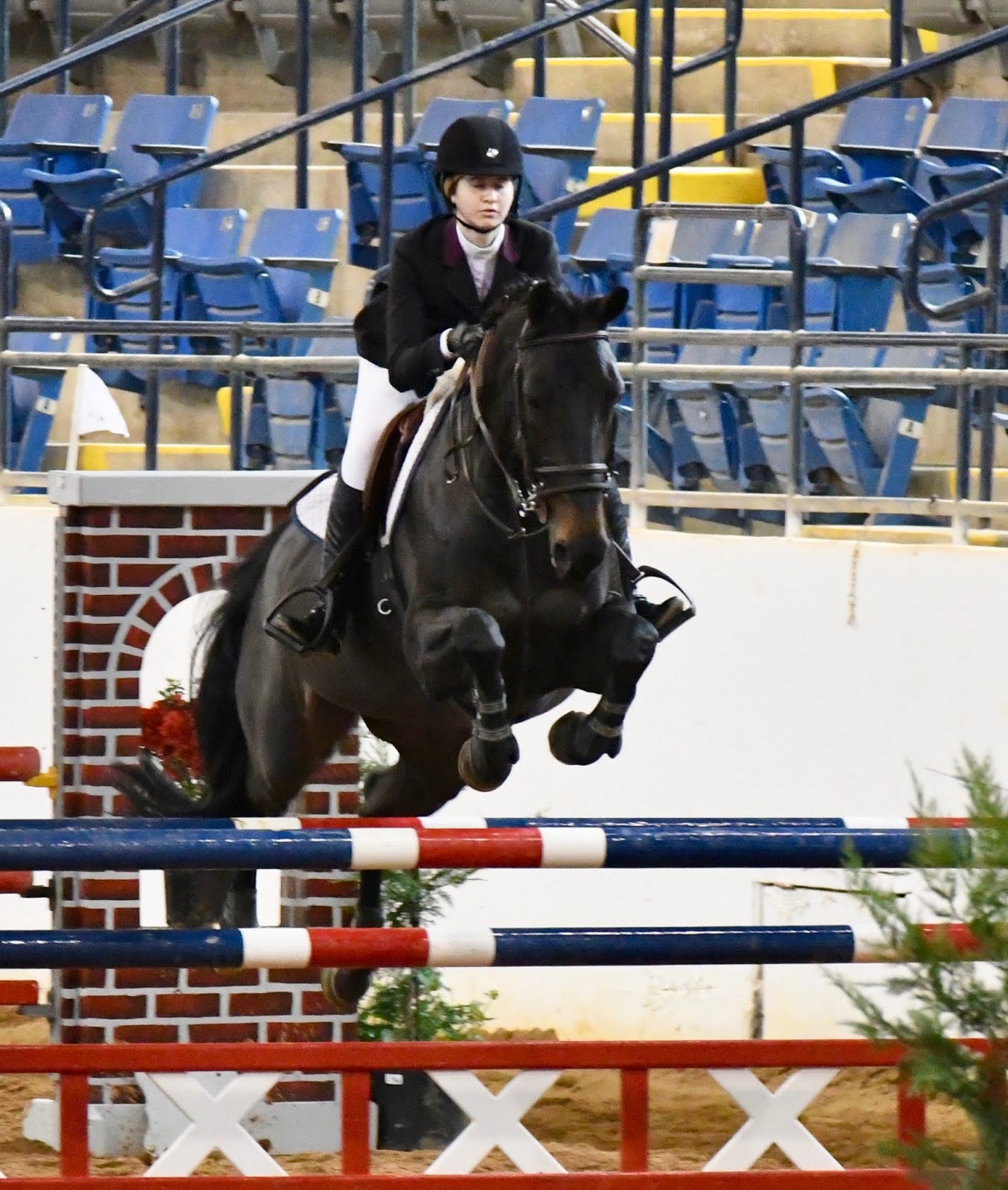 Weekly Show Results Lexington Spring Premiere! Rolling Acres Show