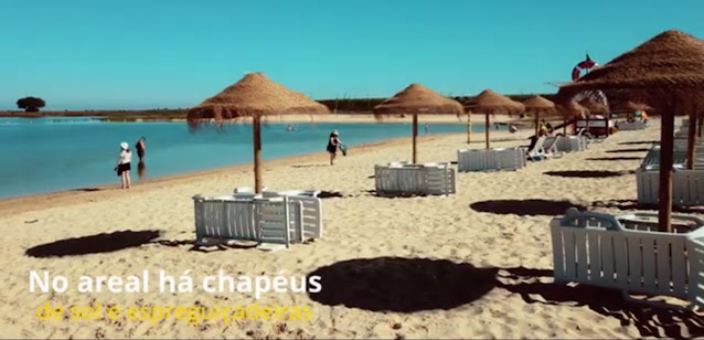 Chapéus de Sol e Esperquiçadeiras para aluguer