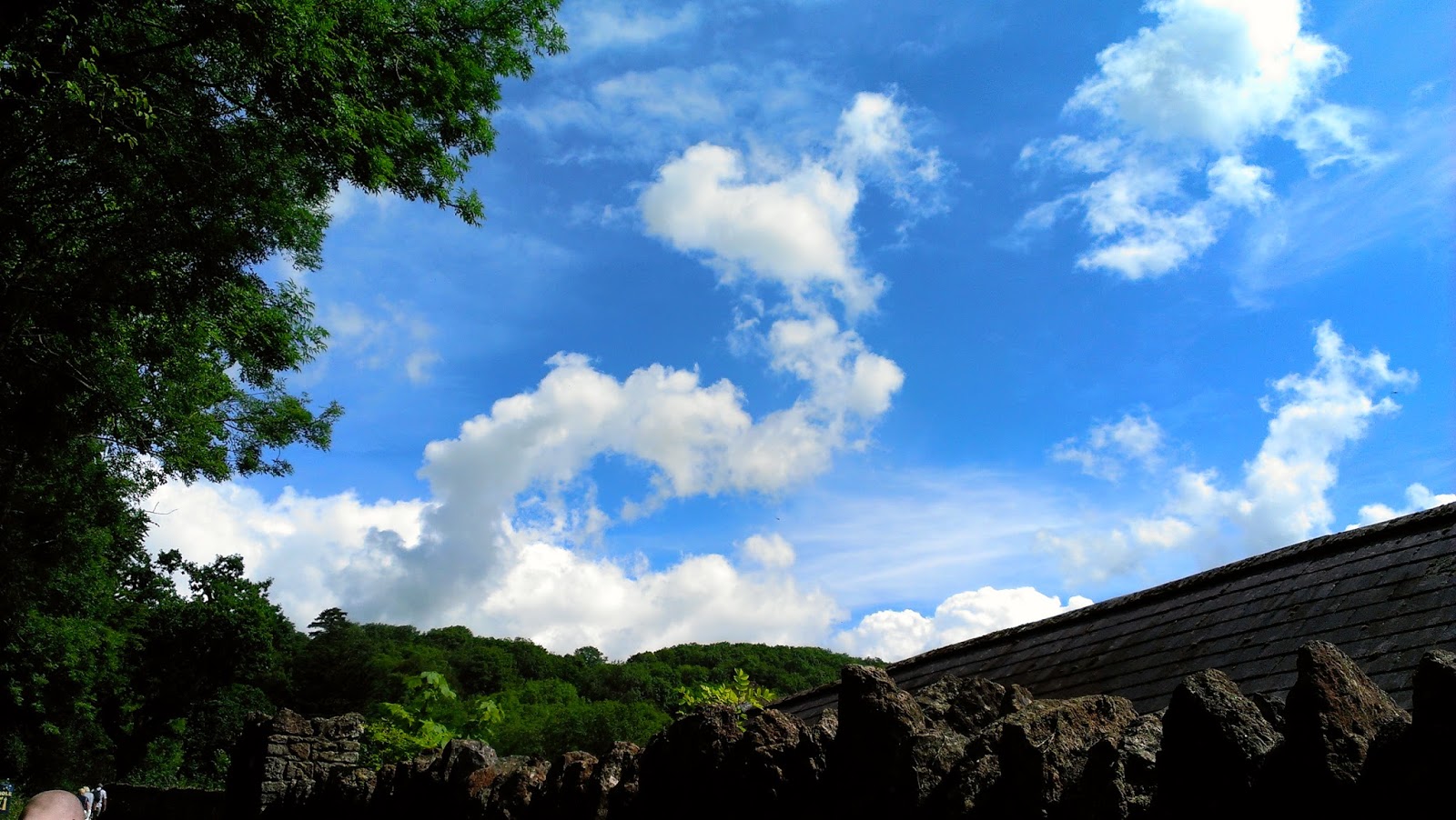 Top Teenz: Summer Holiday!!!!