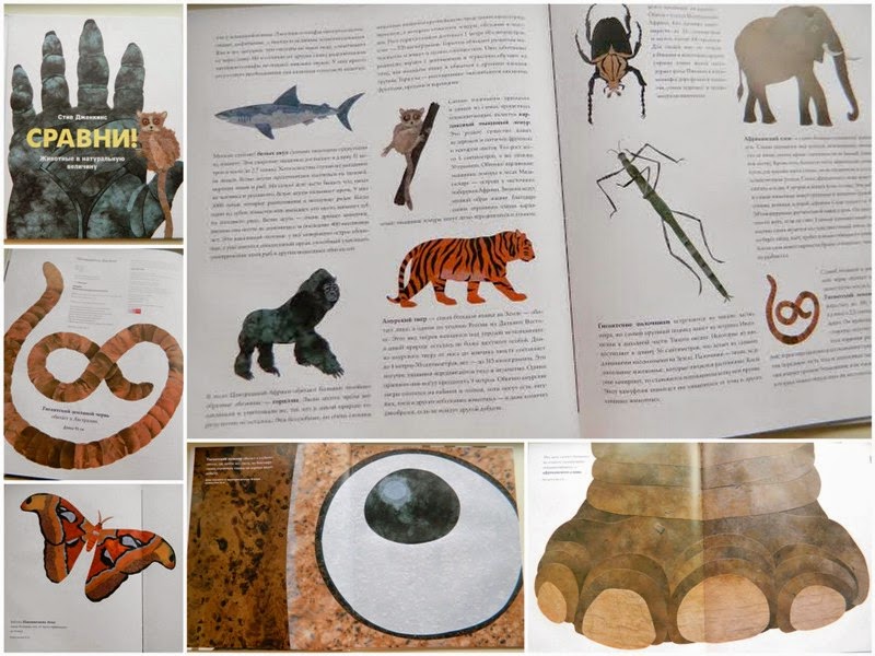 сравни мифы