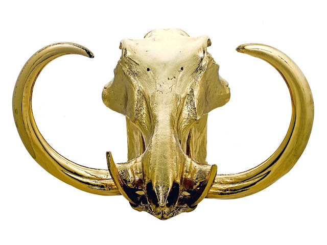 Gold Dipped Animal Skulls