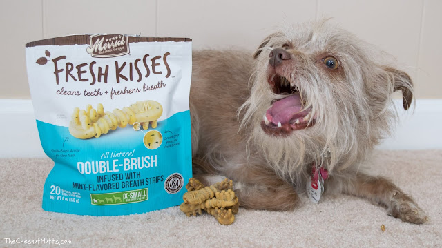Mini Review: Merrick Fresh Kisses Mint Dental Chews for Dogs